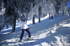 off-piste-skiing-in-poiana-brasov