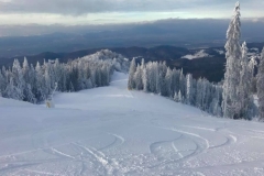 powder-snow-for-ski-snowboard-in-Poiana-Brasov